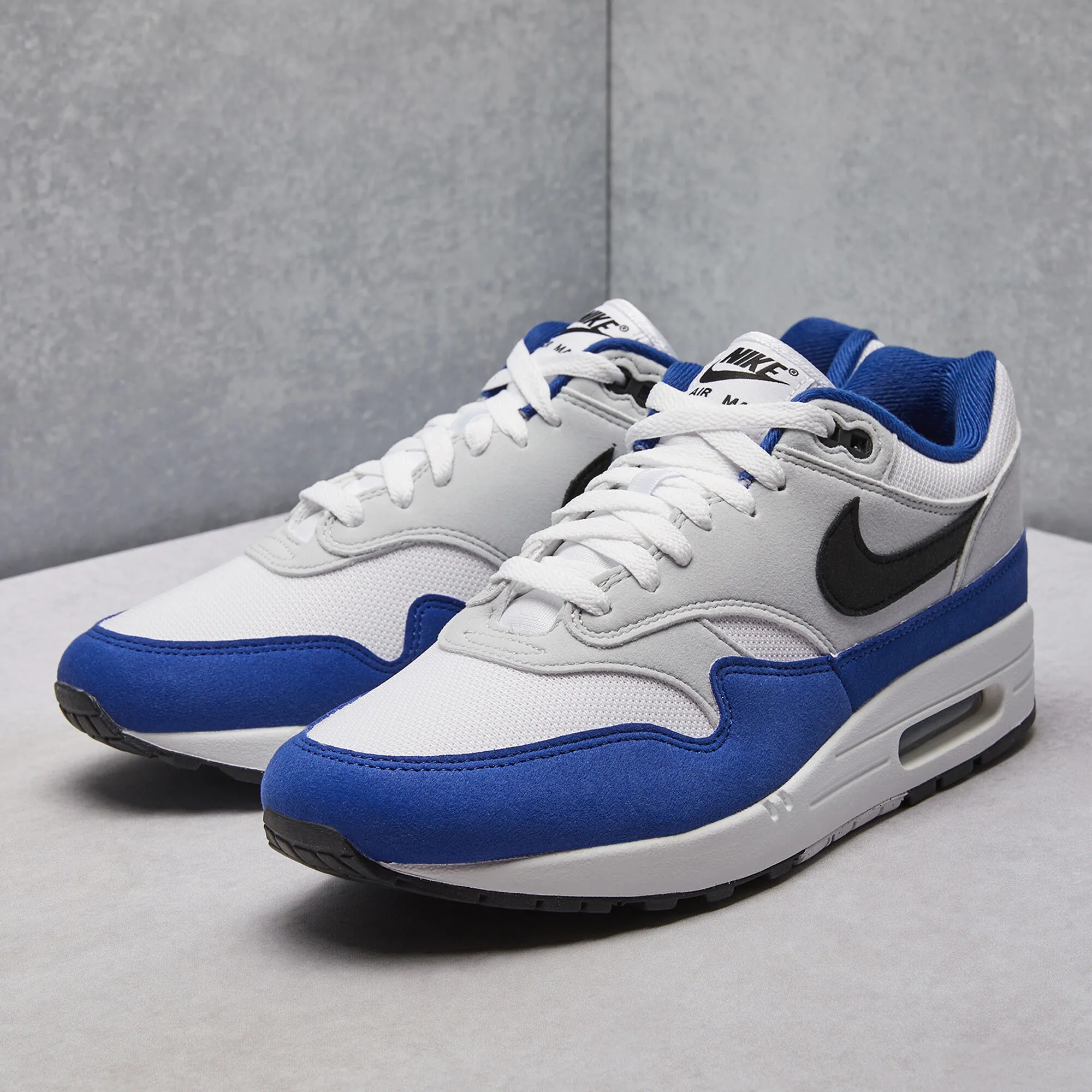 Nike Air Max 1 Shoes