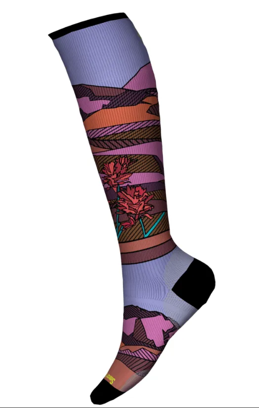 Smartwool  Ski Zero Cushion Floral Field Print OTC Socks Womens 2024